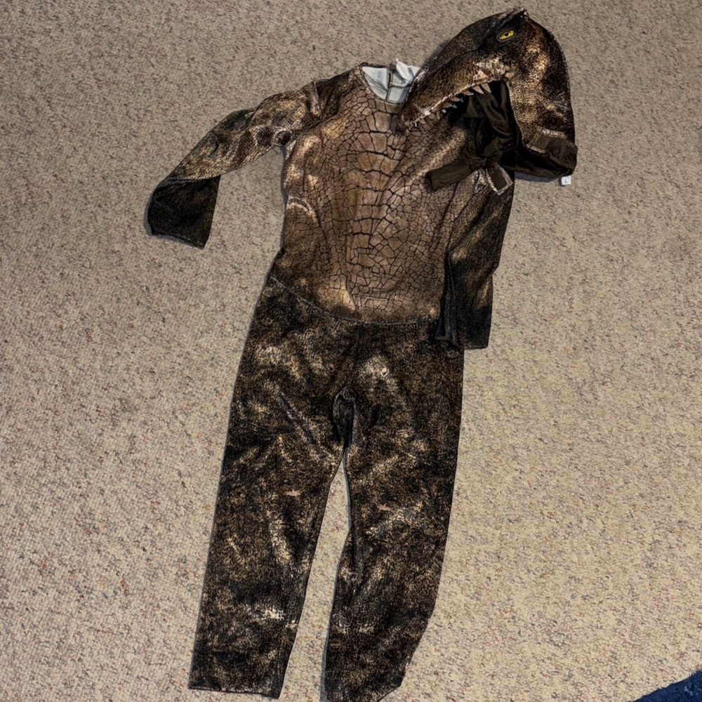 Dinosaur Costume with Hood
